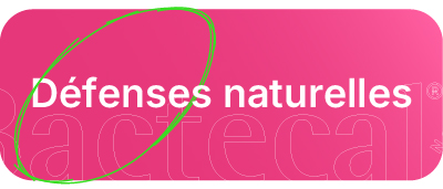Bactecal&reg; D aide &agrave; d&eacute;velopper les d&eacute;fenses naturelles&nbsp;et &agrave; optimiser le fonctionnement normal du syst&egrave;me immunitaire.