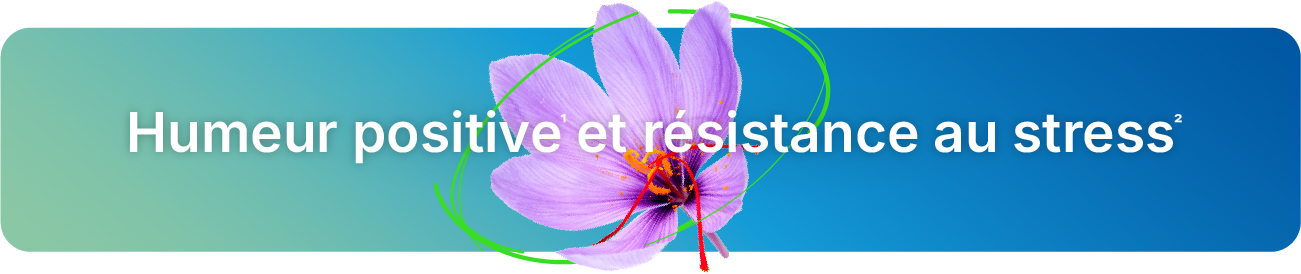 Packshot du compl&eacute;ment alimentaire Bacterelax&reg;